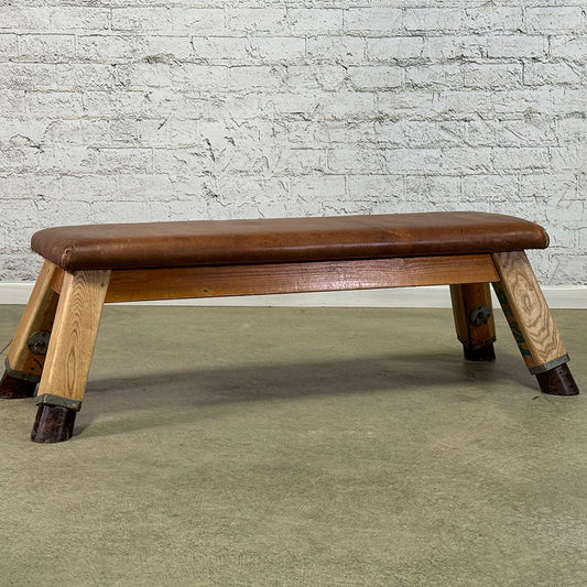 Leather Top Gym Bench