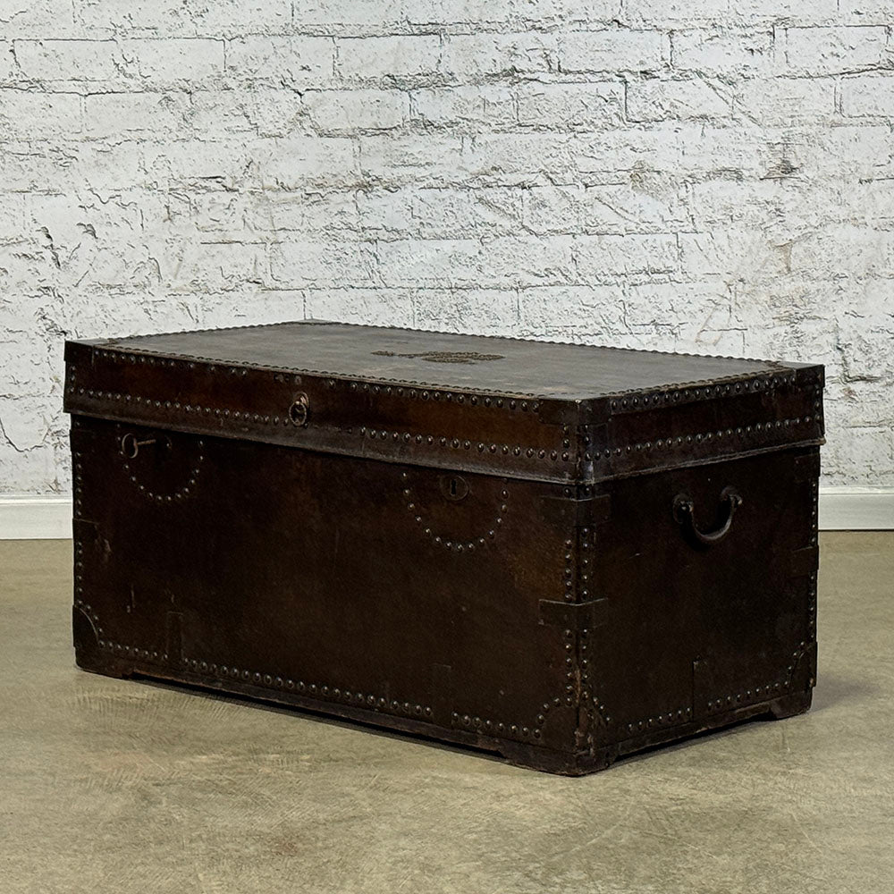 Rare English Camphor Wood + Leather Trunk