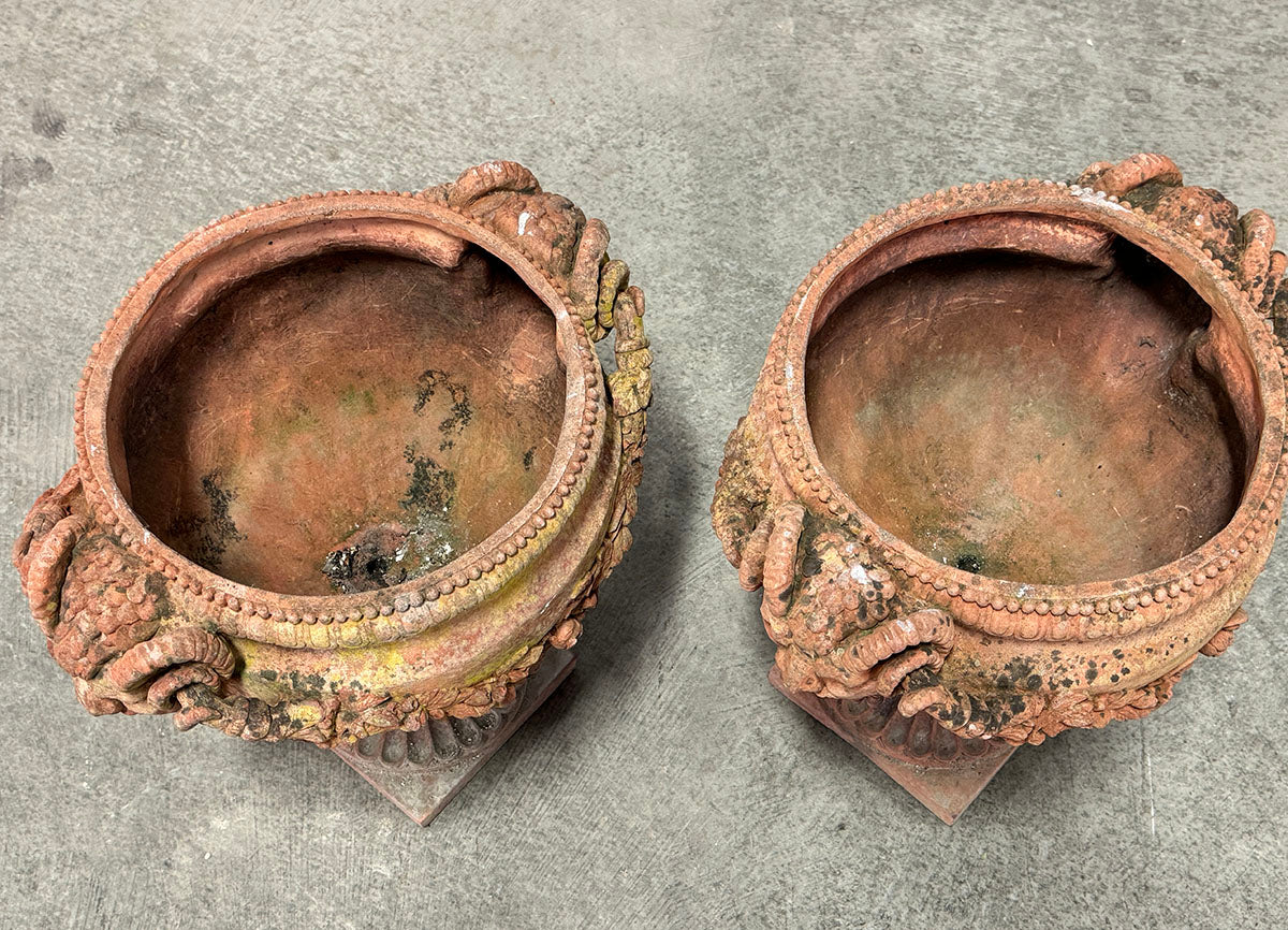 Mythical Antique Urn