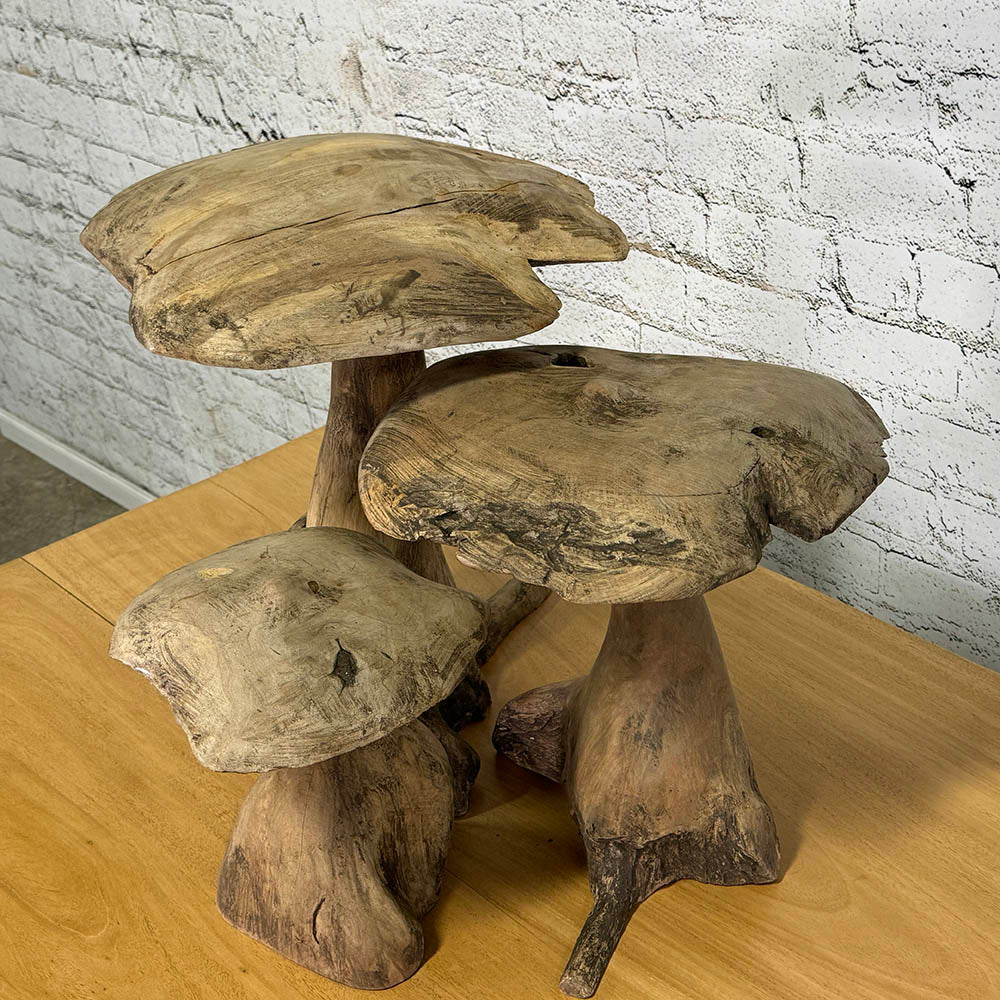 English Chestnut Wooden Mushrooms c.1900