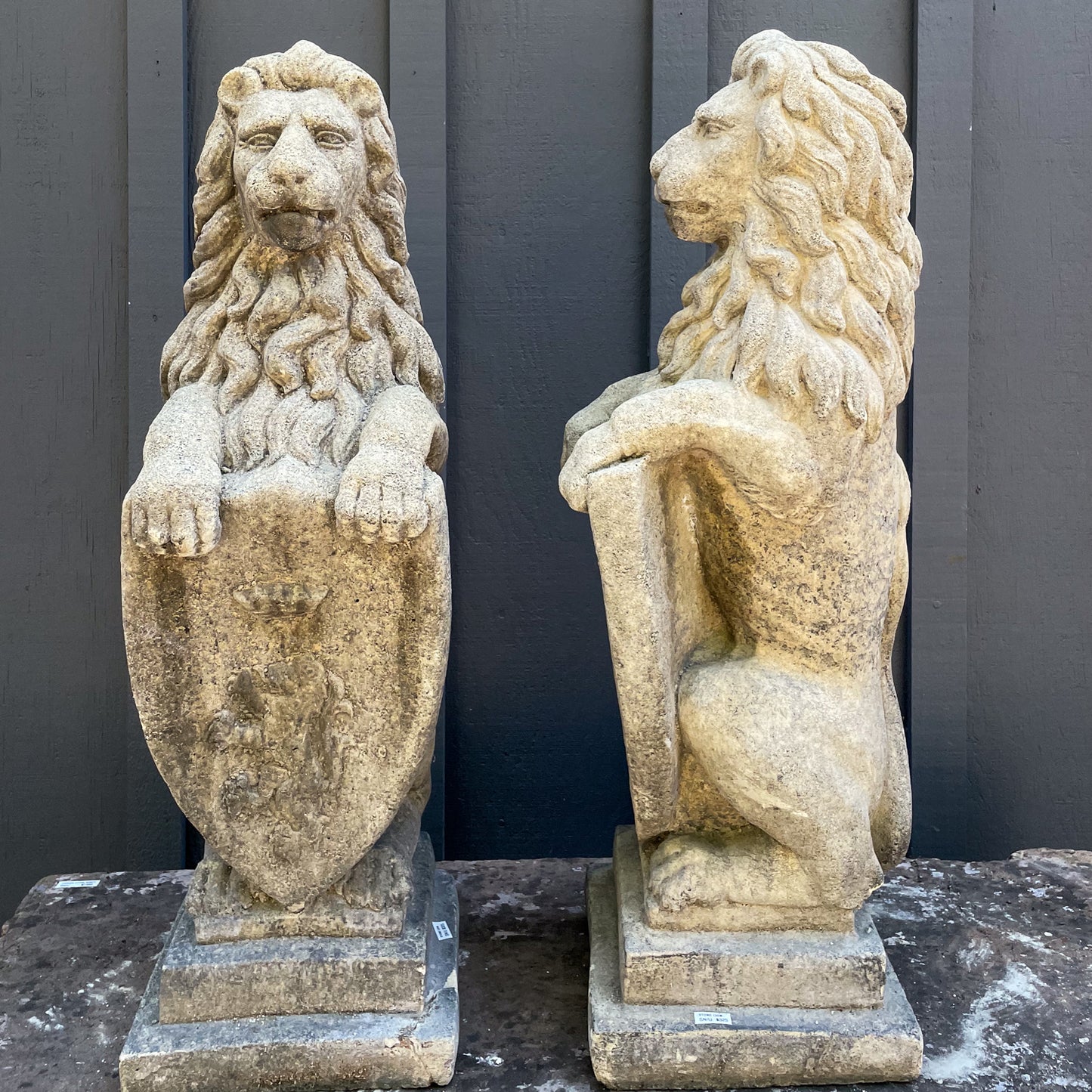 Stone Lion