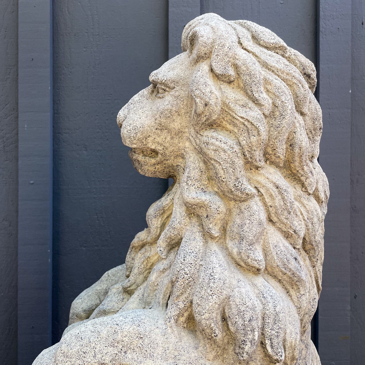 Stone Lion