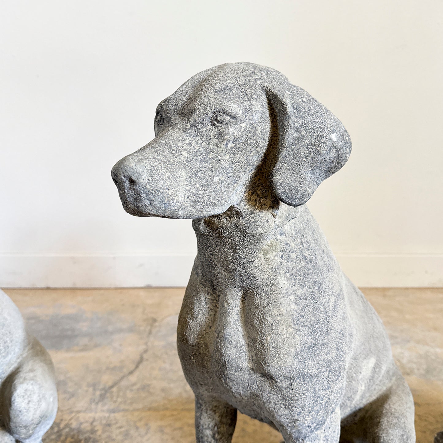 Stone Hunt Dog