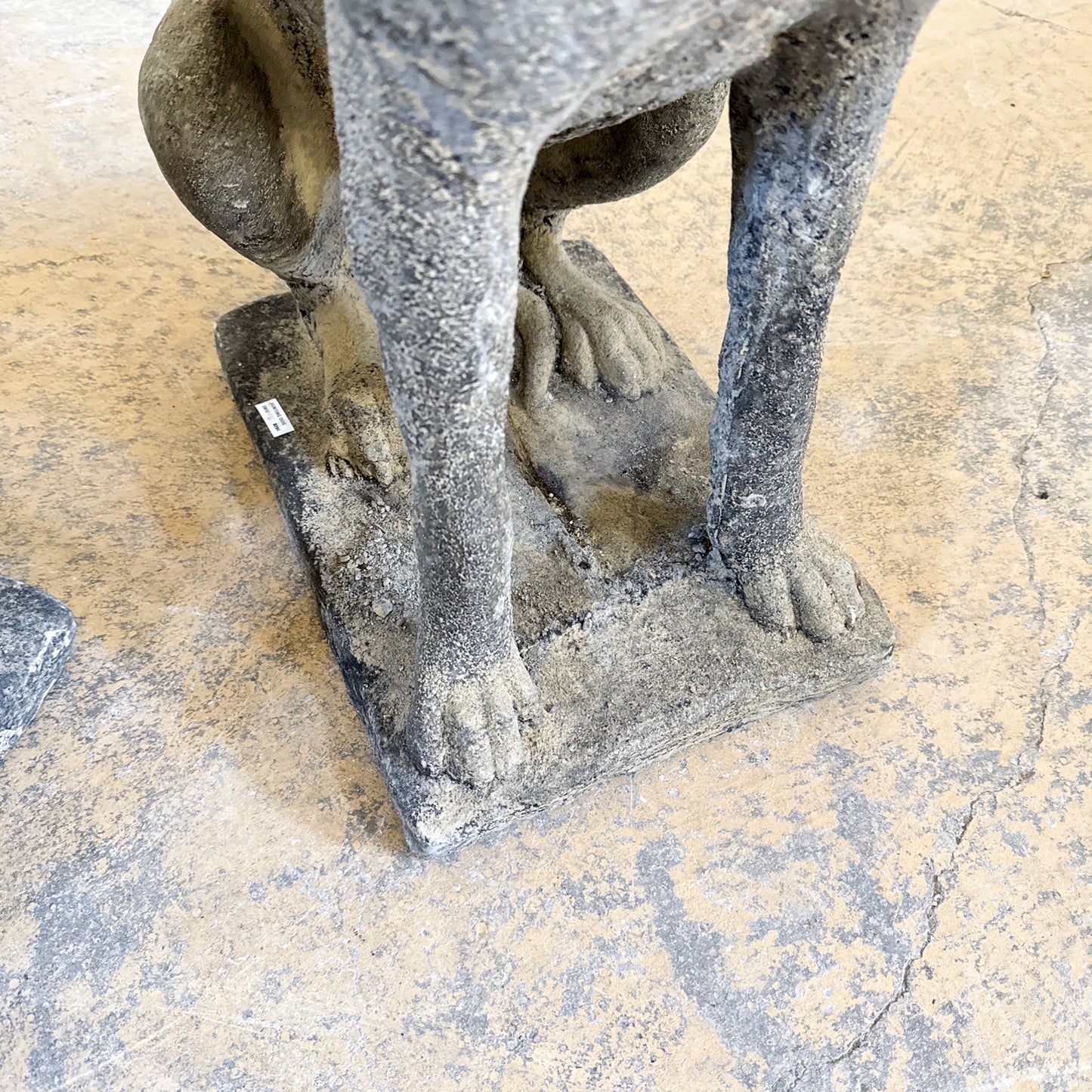 Stone Hunt Dog