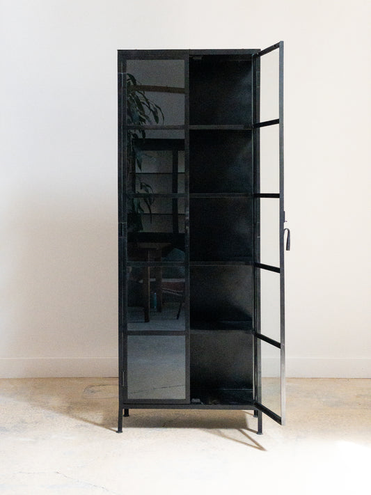 Iron & Glass Two Door Cupboard