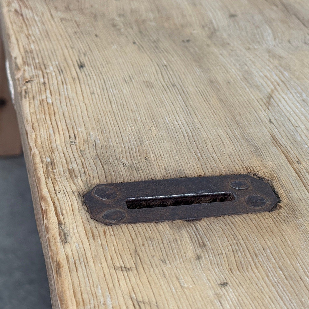 Wide Elm Bench
