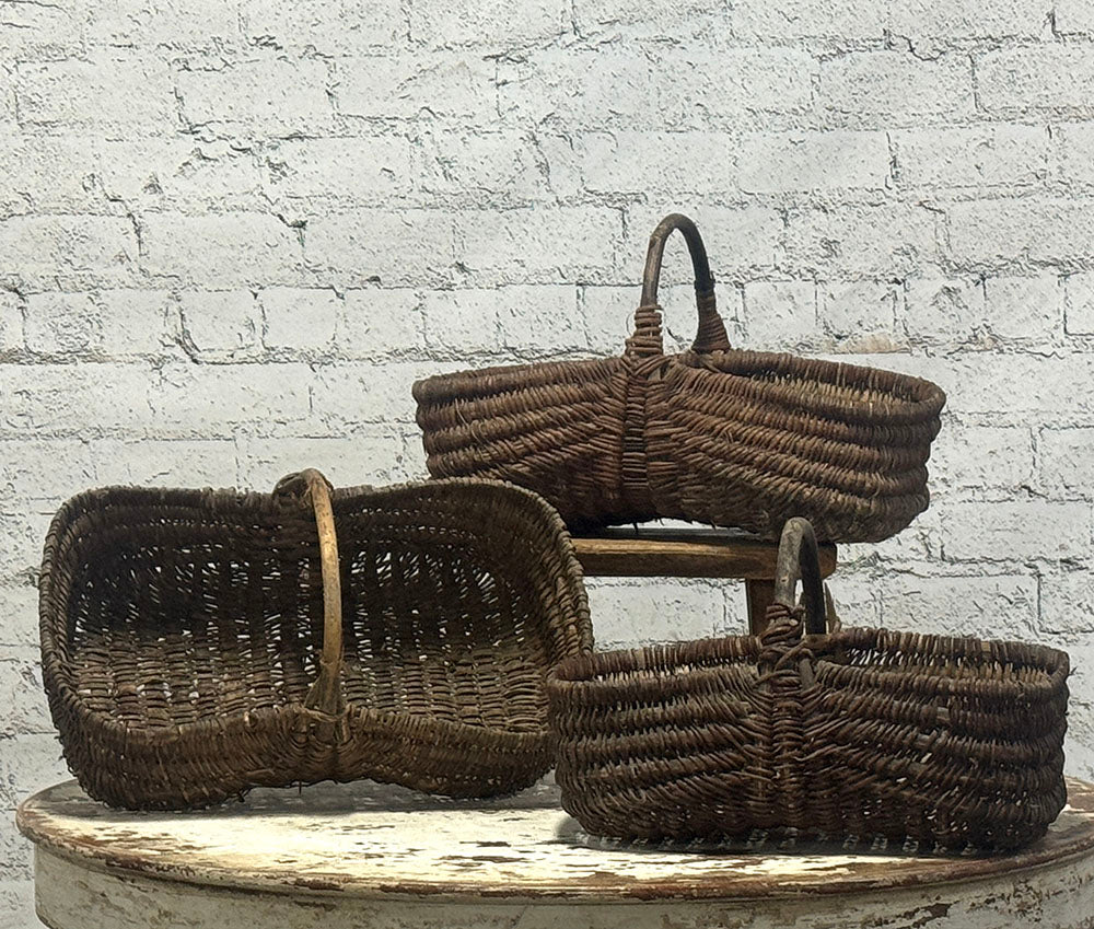 French Flower Basket, Medium