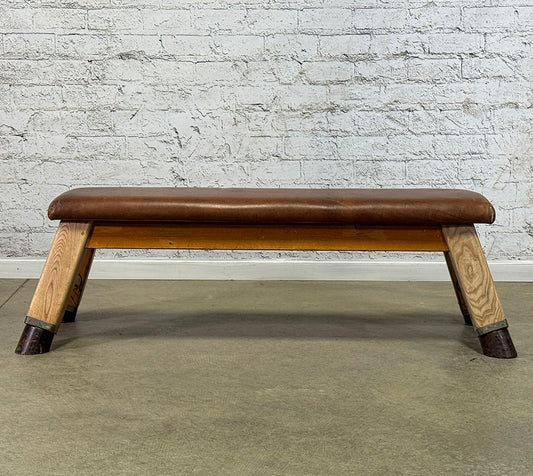 Leather Top Gym Bench