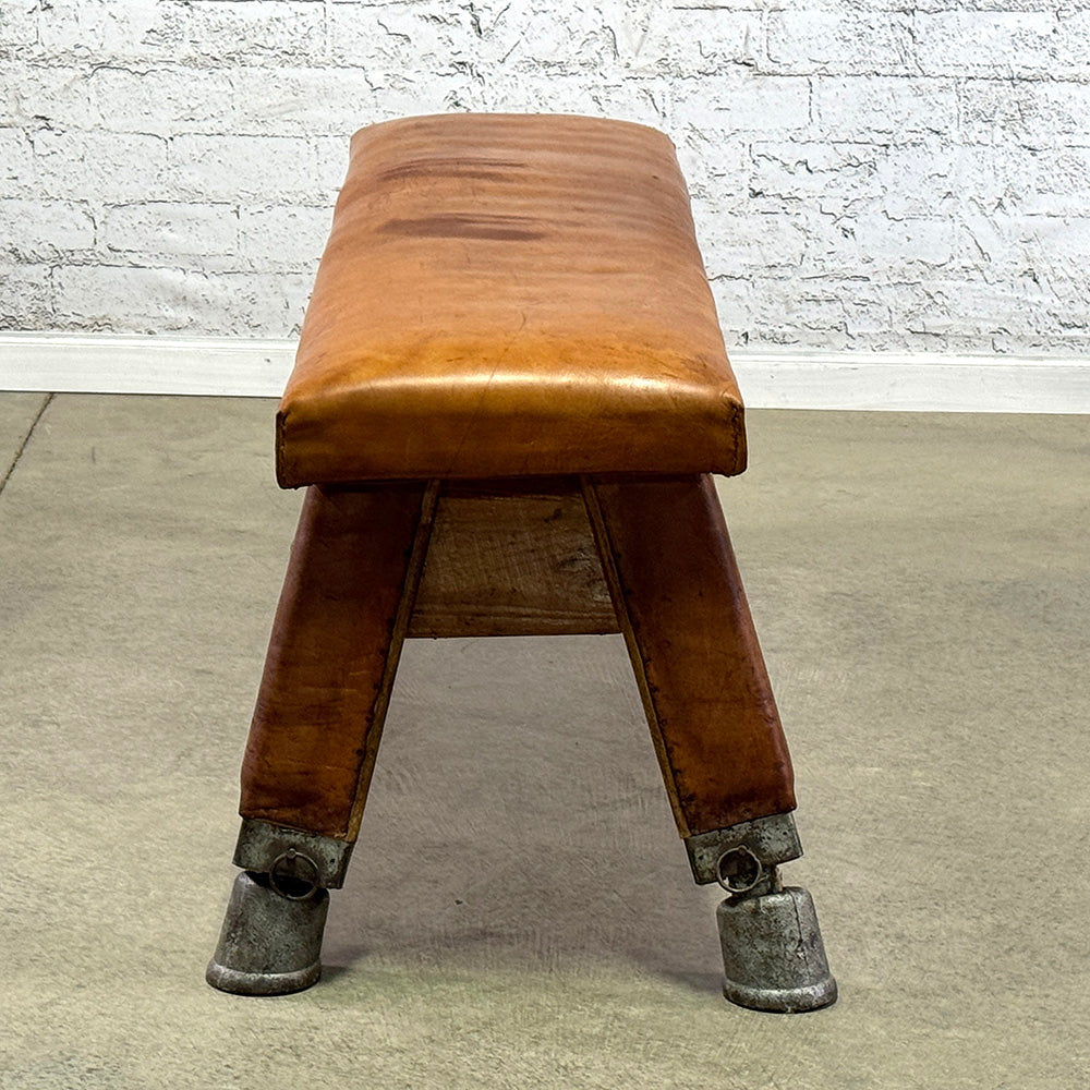 Vintage Leather Pommel Horse