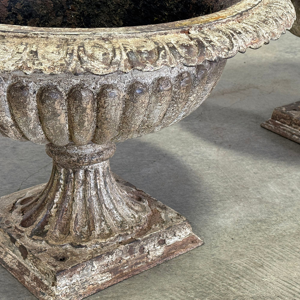 Pair of Regency Cast Iron Urns