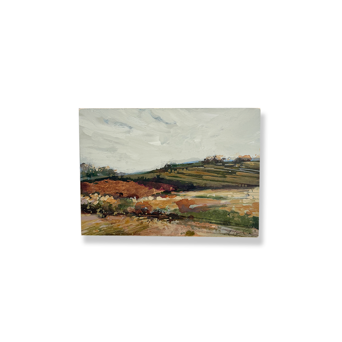 Vineyard Hillside by Alex Cole